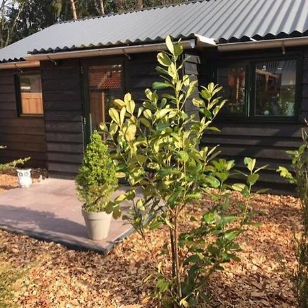 Veluwse Bossuite Otterlo Exterior foto